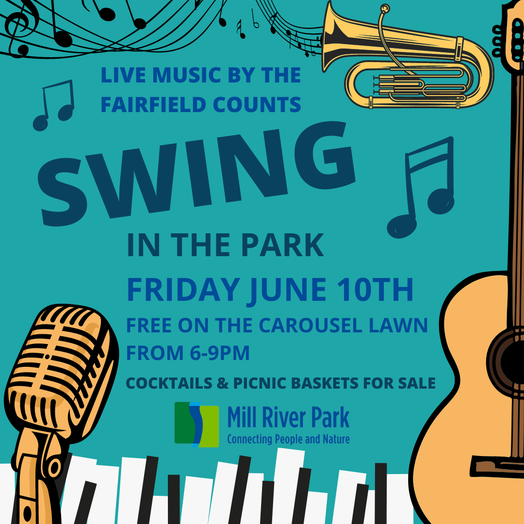 Swing in the Park 2022