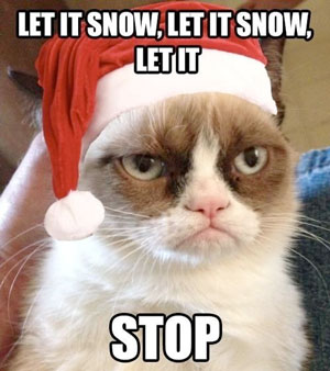 Grumpy Cat - Snow disrupts Dancing